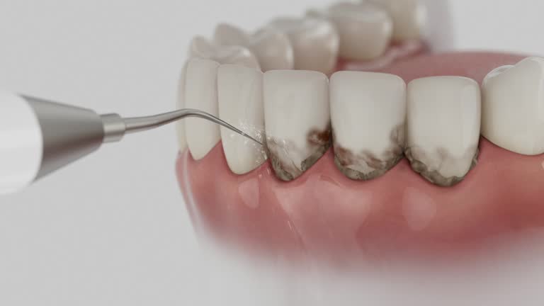 Reliable Dental contractor in Mio, MI by Dentist Open Now